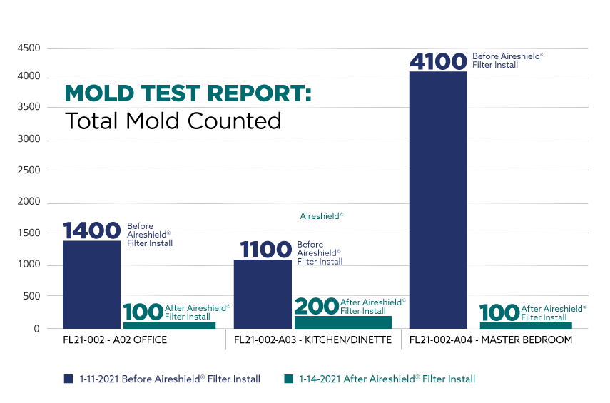Mold Test Report - in Residential Home in Florida